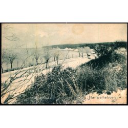 Aarhus - Kysten ved Marselisborg - Stender 11570 g - Ubrugt