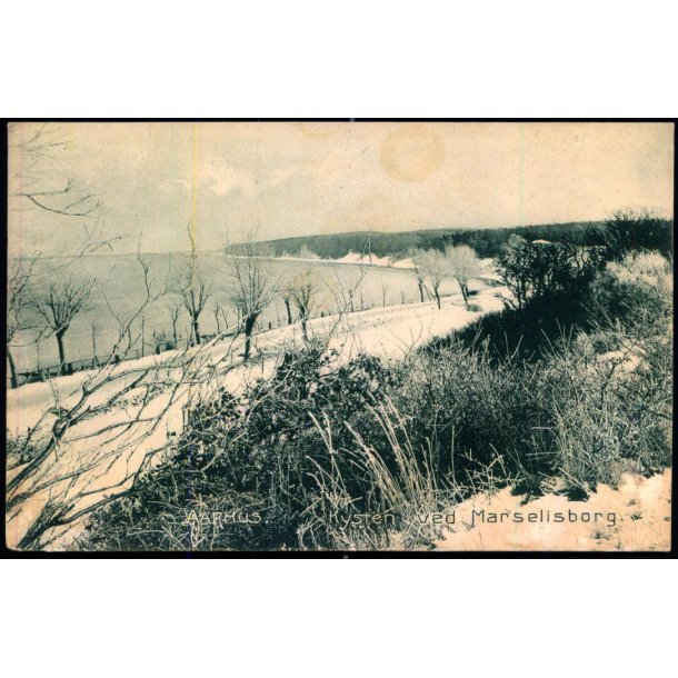 Aarhus - Kysten ved Marselisborg - Stender 11570 g - Ubrugt