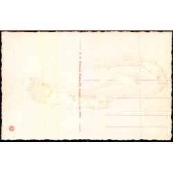 Brede - Petersens Bogh. 72054 - Ubrugt - Har v�ret kl�bet op !