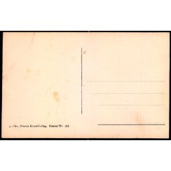 Rodolph Valentino - Chr. Olsens Kunstforlag 491