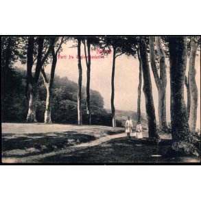 Nyborg - Parti fra Teglv�rksskoven - W.K.F. 3747 - Ubrugt