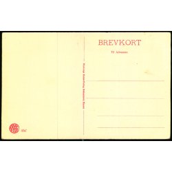 Nyborg - Parti fra Teglv�rksskoven - W.K.F. 3747 - Ubrugt