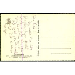 Le Paquebot "Caledonien" - Fotokort u/n - Ubrugt