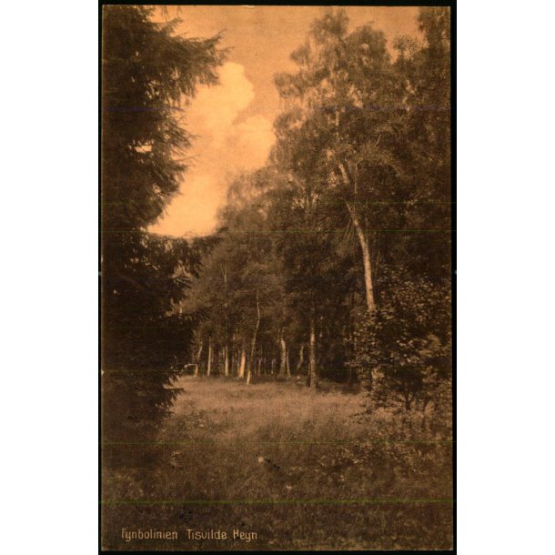 Fynbolinien - Tisvilde Hegn - S. Nielsen 51251 - Brugt