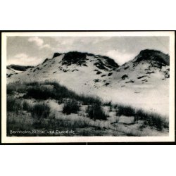 Bornholm - Klitter ved Dueodde - Stender B. 50