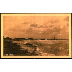 Lise leje - Albert Jensens Bogh. u/n - Brugt