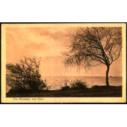 Fra Stranden ved Kal� - Alex Vincent 617 - Brugt