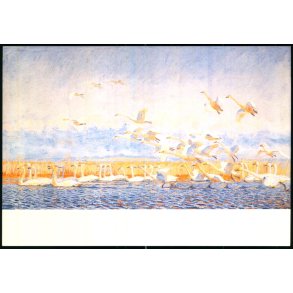 Johannes Larsen - Fyns Kunstmuseum - u/n - Ubrugt