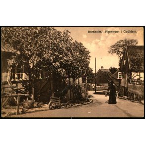 Bornholm - Figentret i Gudhjem - Colbergs Bogh. 855 - Ubrugt