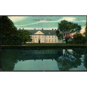 Odense Slot - Alex Vincent 118 - Ubrugt