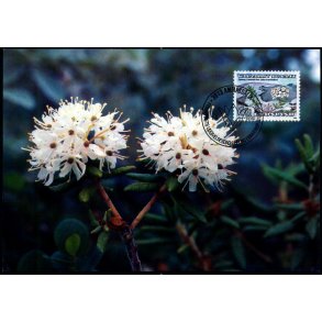 Grnlandsk Post - Grnlands Post 27/90 - Brugt