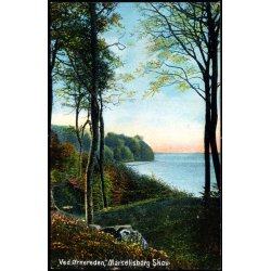 Ved �rnereden - Marselisborg Skov - Alex Vincent 93 - Ubrugt