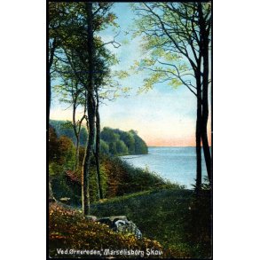 Ved �rnereden - Marselisborg Skov - Alex Vincent 93 - Ubrugt