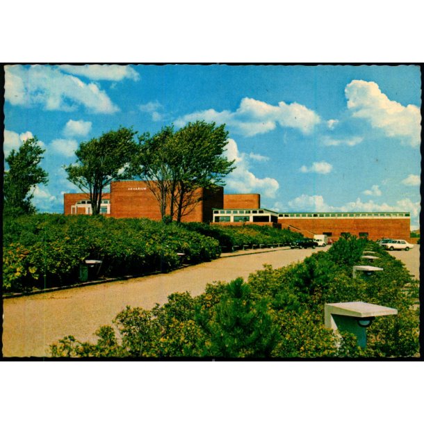 Esbjerg - Fiskerimuseet - C.I.C. 796 - Brugt