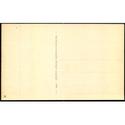 Kronborg - Udsigt fra Telegraftaarnet - Kai Brammers Bogh. 79386 - Ubrugt