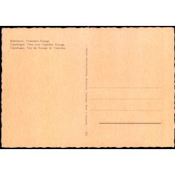 Kbenhavn - Vesterbros Passage - Rudolf Olsen 534