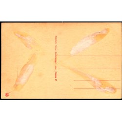 Odense - H.C. Andersens Fdested - Stender O. 27 - Ubrugt