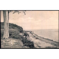 Nyborg - Fra Teglv�rksskoven - H.H.O. 4479 - Brugt