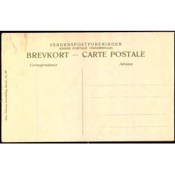 Ved �rnereden - Marselisborg Skov - Alex Vincent 93 - Ubrugt