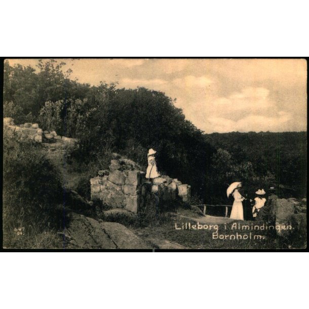 Lilleborg i Almindingen - Bornholm -  F. Srensens Bogh. 250 - Brugt