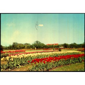 L�gparken - Sp�ttrup - O.P.O. 6667 - Brugt