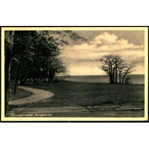 Sandskredet - Kongs�re - S. Bay 13584 - Brugt