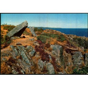 Bornholm - Bautastenene ved Stammeshalle - Colbergs Bogh. 8411 - Ubrugt