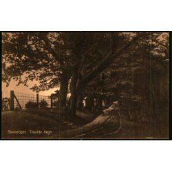 Skovkrogen - Tisvilde Hegn - S. Nielsen 43779 - Ubrugt