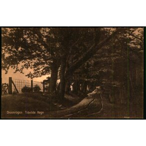 Skovkrogen - Tisvilde Hegn - S. Nielsen 43779 - Ubrugt