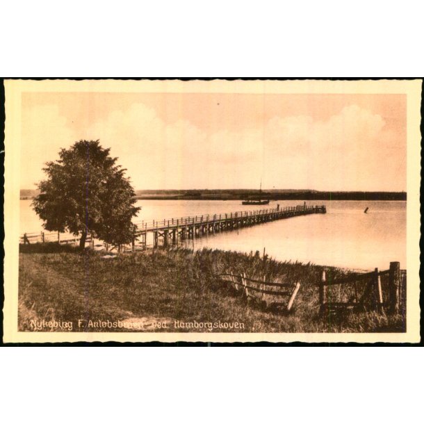 Nyk�bing F. - Anl�bsbroen ved Hamborgskoven - Stender N. 80 - Ubrugt