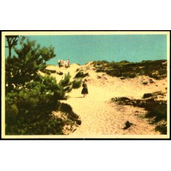 Bornholm - Klitter ved Dueodde - K.Witt-Mller Serie 218