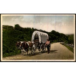 Pr�rievognen - Rebild - Jensen 2 - Brugt