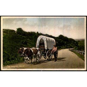 Pr�rievognen - Rebild - Jensen 2 - Brugt