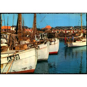 Skagen -  Havneparti  - Nielsens 43 620/19 - Ubrugt