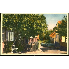 Figentret i Gudhjem - Karl H. Olsen 21 - Ubrugt