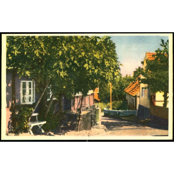 Figentret i Gudhjem - Karl H. Olsen 21 - Ubrugt