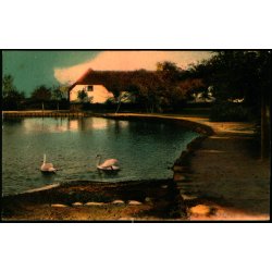 Dammen i Askov - Warborgs Forlag 90 - Brugt