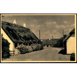 Svendborg - Parti fra Vindeby - Stender S. 524 - Ubrugt