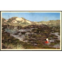 Klitparti - S�ndervig - Nr. 4 - Brugt