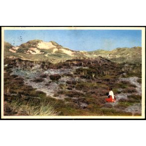 Klitparti - S�ndervig - Nr. 4 - Brugt