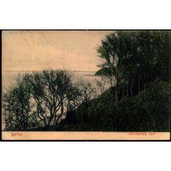 Aarhus - Marselisborg Skov - Alex Vincent 3127 - Brugt