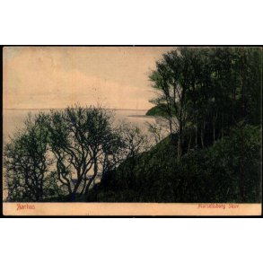 Aarhus - Marselisborg Skov - Alex Vincent 3127 - Brugt