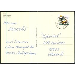 R�m� - Stjerne Foto 35086 - Brugt