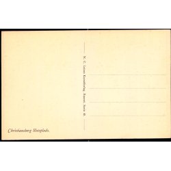 Christiansborg Slotplads - N.C. Leises Kunstforlag Serie 40