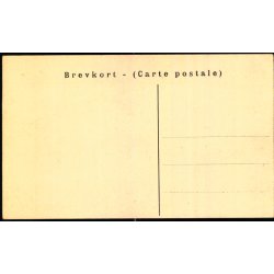 Aarhus - Latinskolen - H.H.O. 4919 - Ubrugt