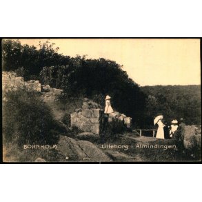 Bornholm - Lilleborg i Almindingen - F. Srensens Bogh. 250 - Brugt