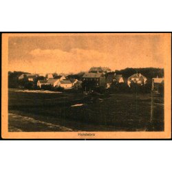 Holstebro - M. Ludvigsen 1098 - Ubrugt