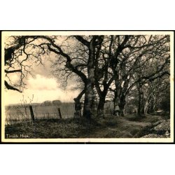 Tisvilde Hegn - R�hls Ege - Stationskiosken 110 - Ubrugt