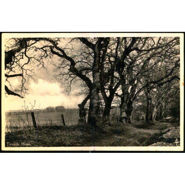 Tisvilde Hegn - R�hls Ege - Stationskiosken 110 - Ubrugt