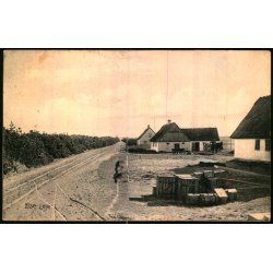 Lise leje - Albert Jensens Bogh. 8003 - Brugt